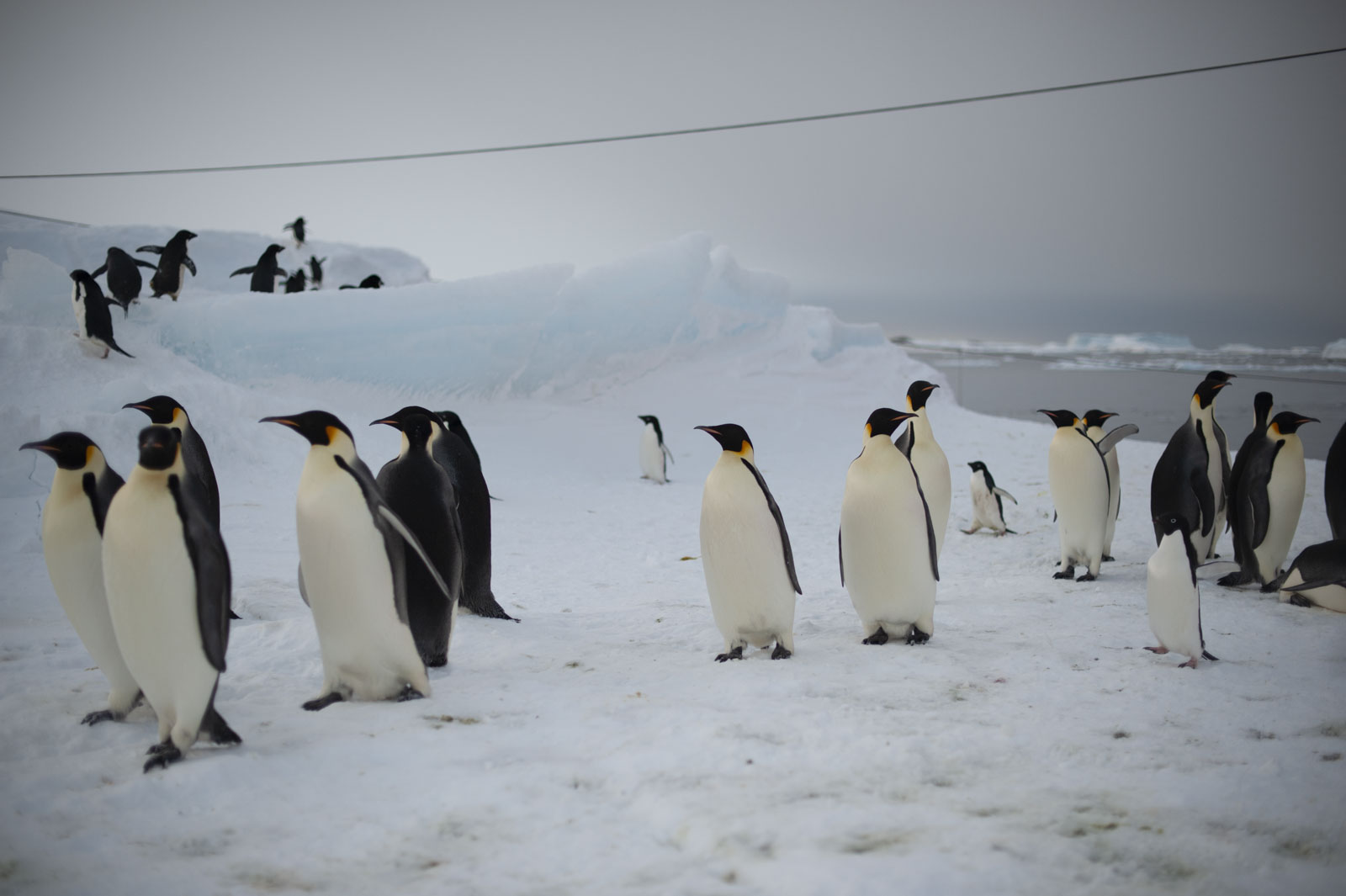 GYT 20221117 141143  DSC8098