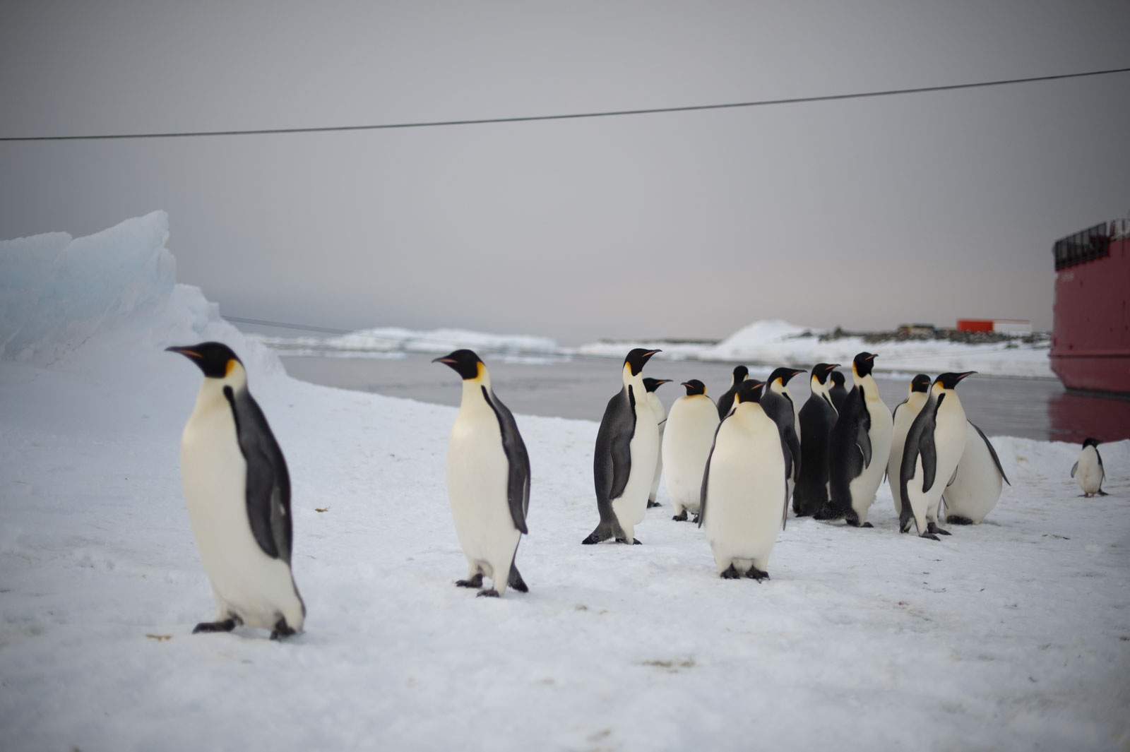 GYT 20221117 141155  DSC8099