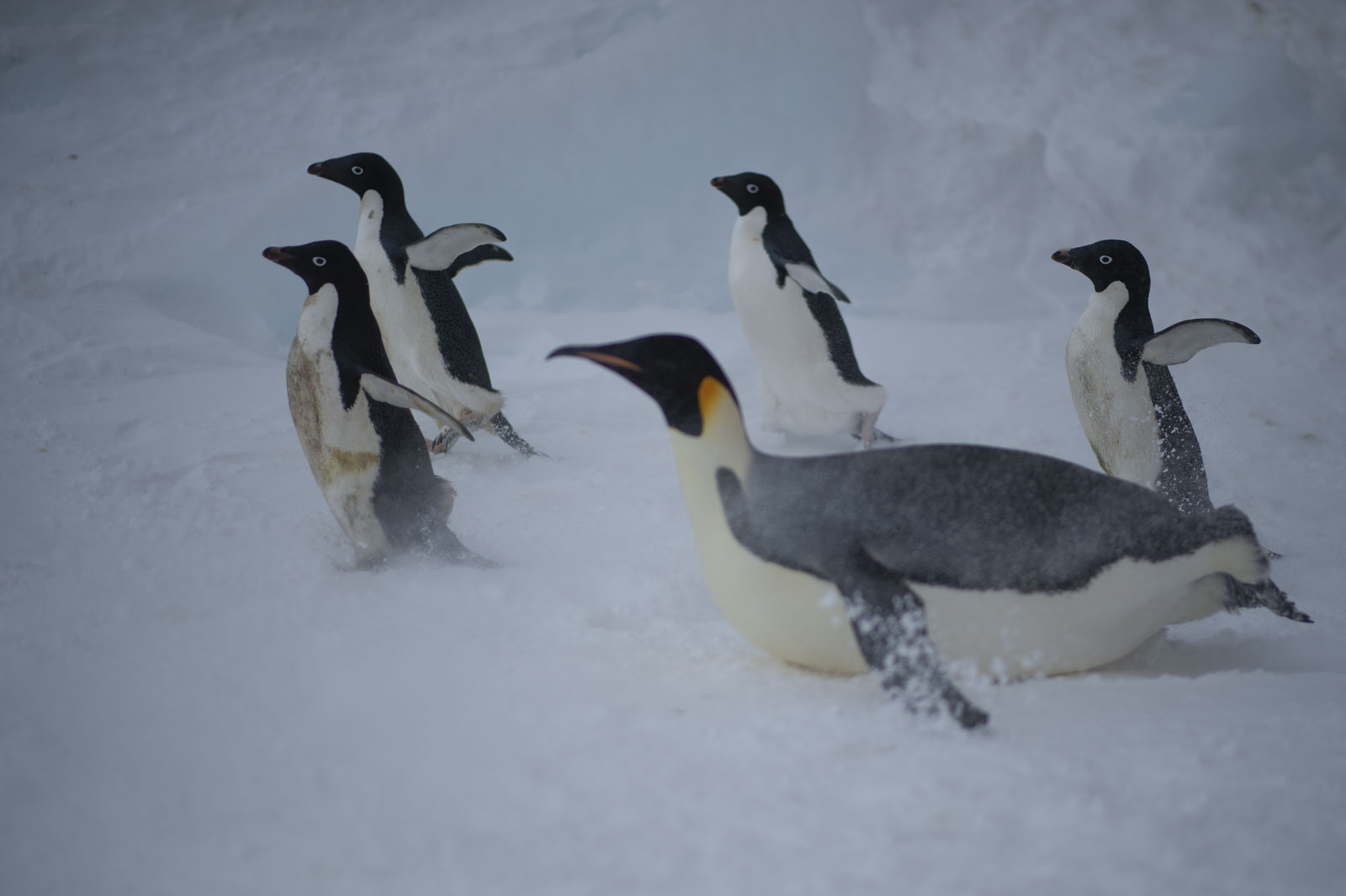 GYT 20221118 014305  DSC8138