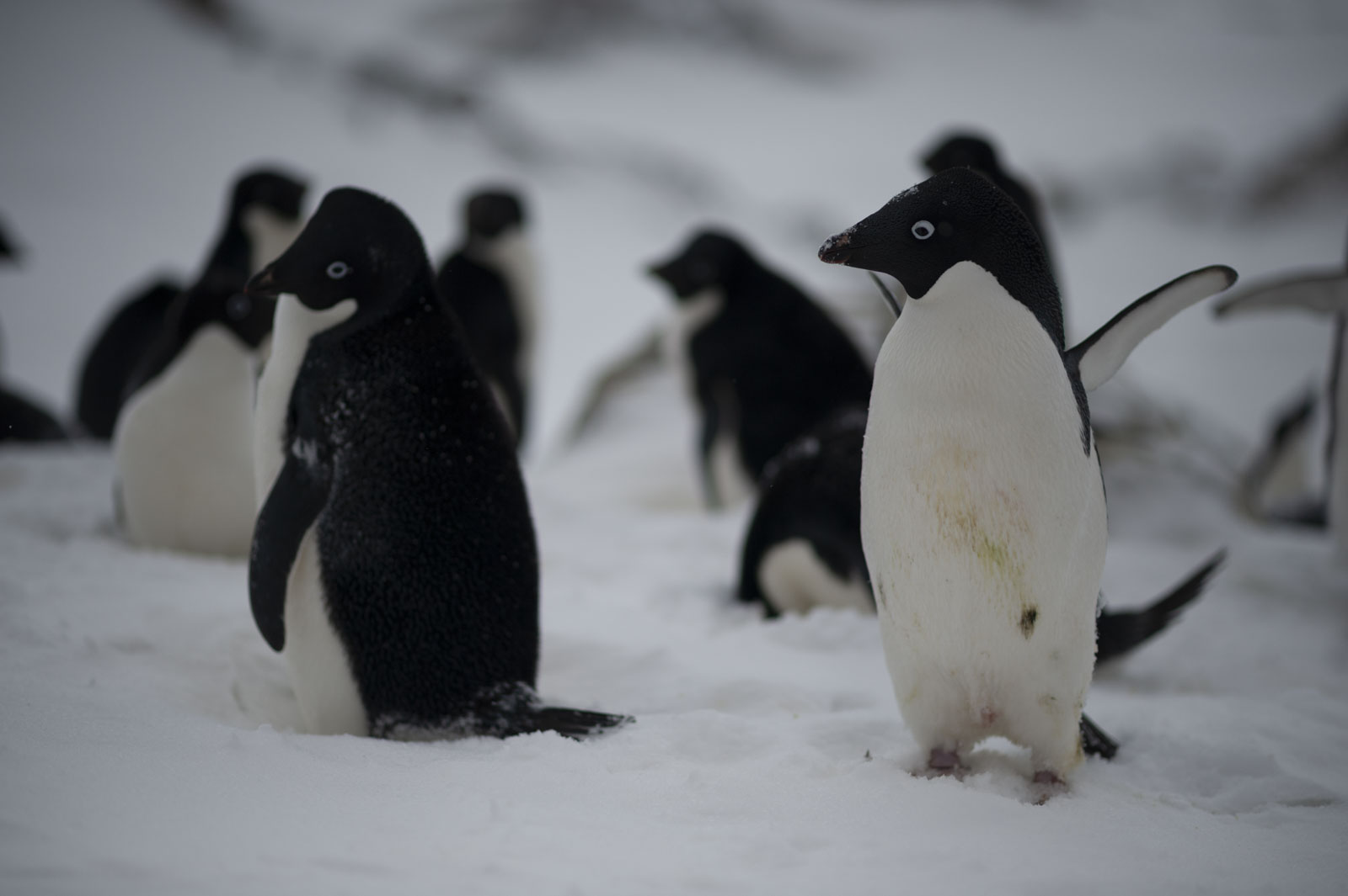 GYT 20221118 020327  DSC8142