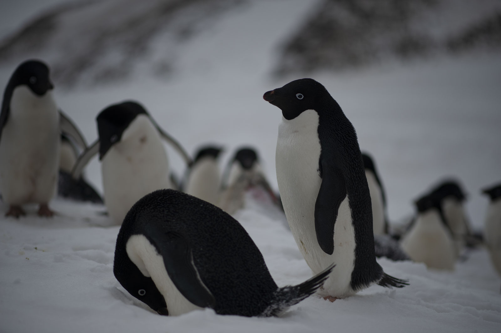 GYT 20221118 020331  DSC8143