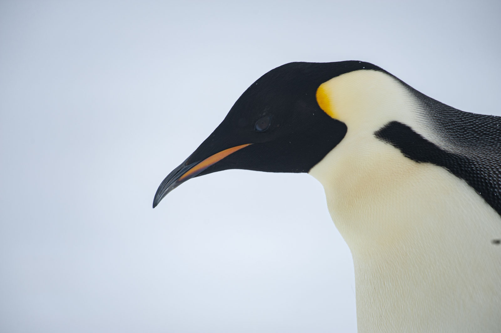 GYT 20221118 022649  DSC8158