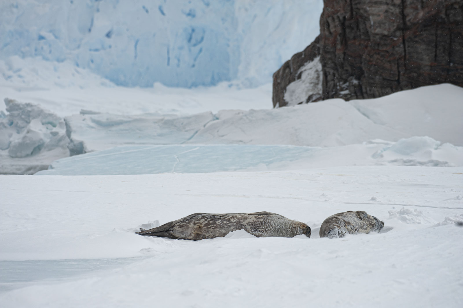 GYT 20221118 030453  DSC8170