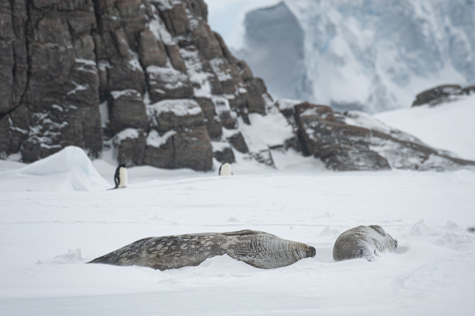 GYT 20221118 030610  DSC8171