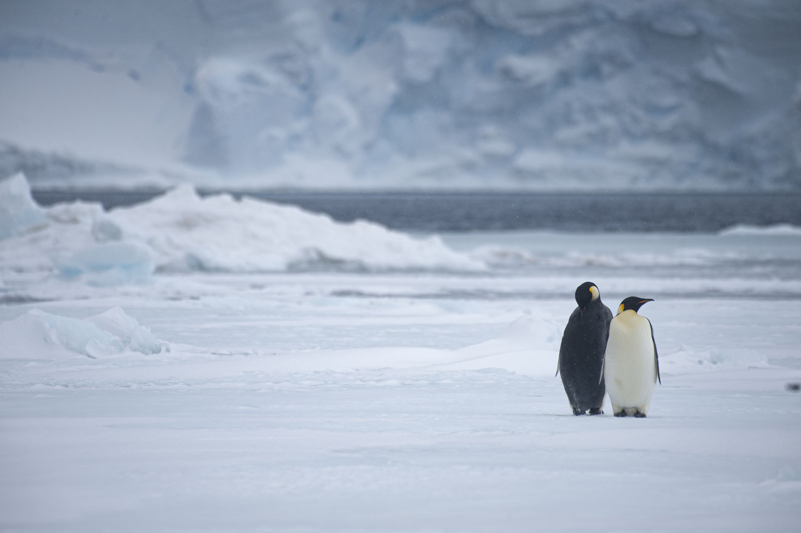 GYT 20221118 031326  DSC8175