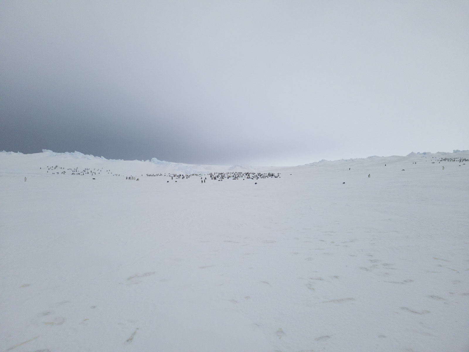 GYT 20221118 092225 20221118 092225