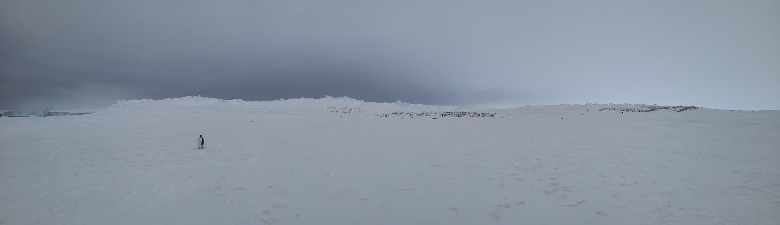 GYT 20221118 094651 20221118 094637