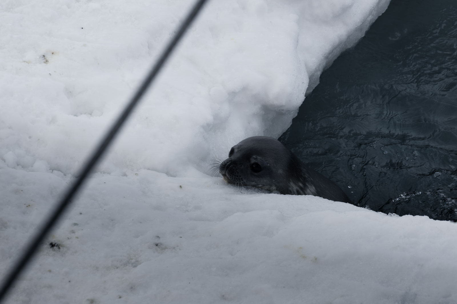 GYT 20221121 003501  DSC8177