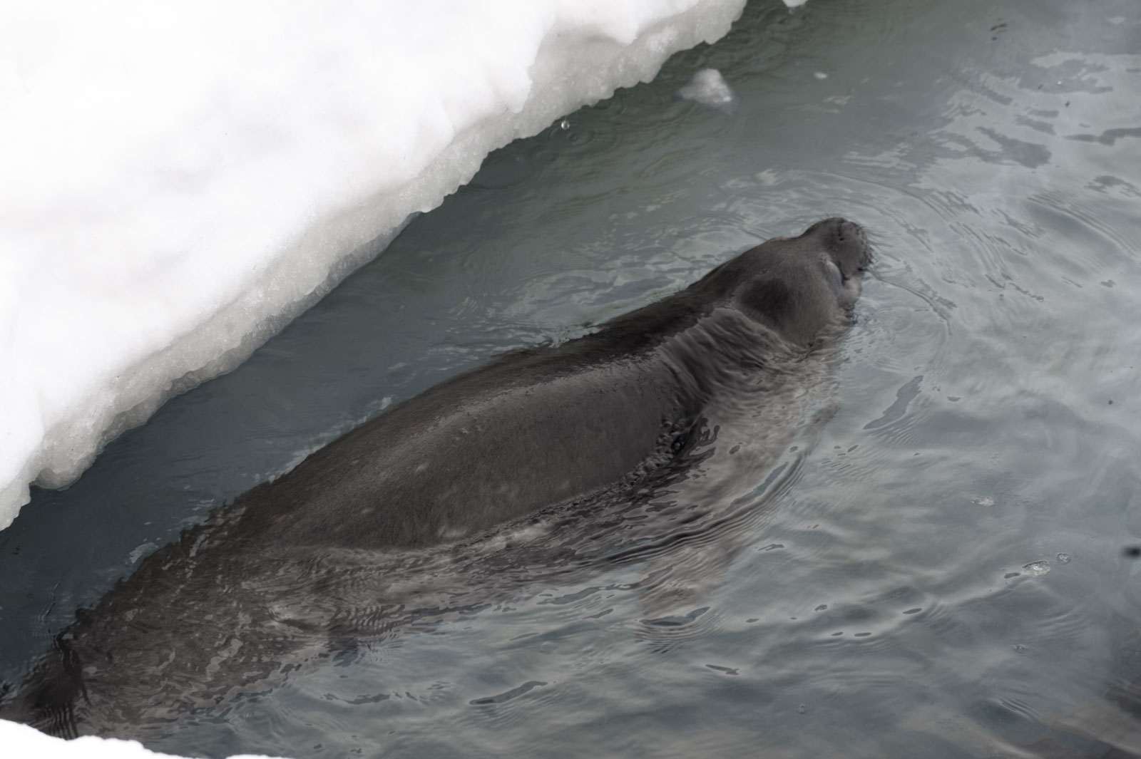 GYT 20221121 003535  DSC8179