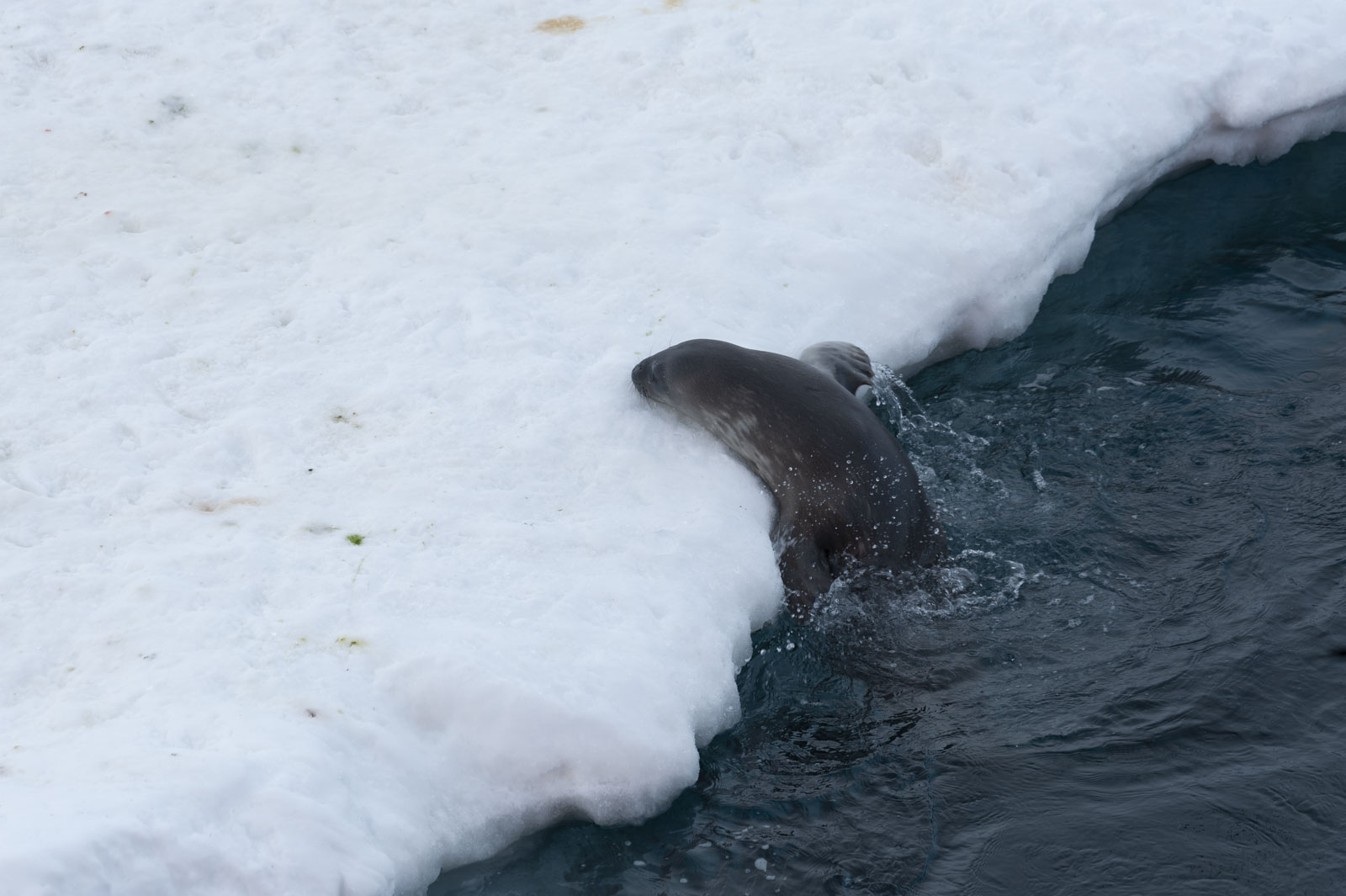 GYT 20221121 003621  DSC8184