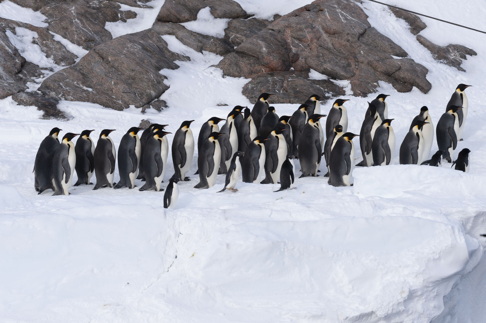 GYT 20221121 010317  DSC8186