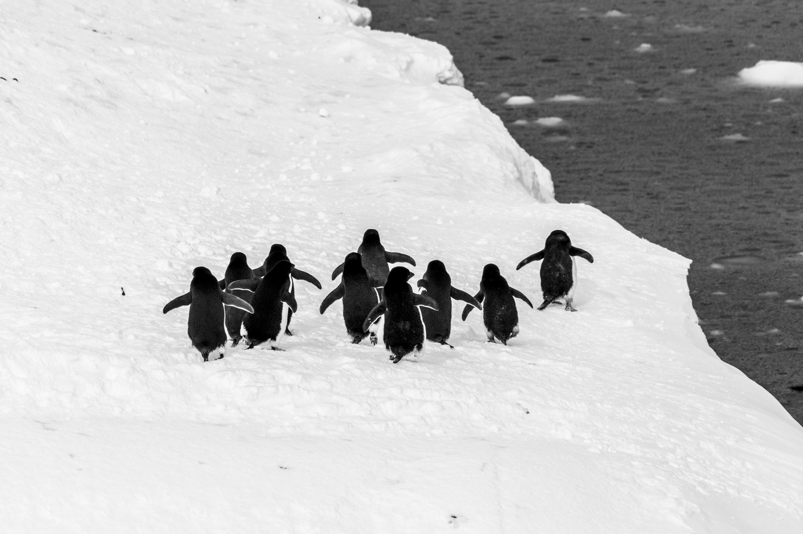 GYT 20221121 010344  DSC8188