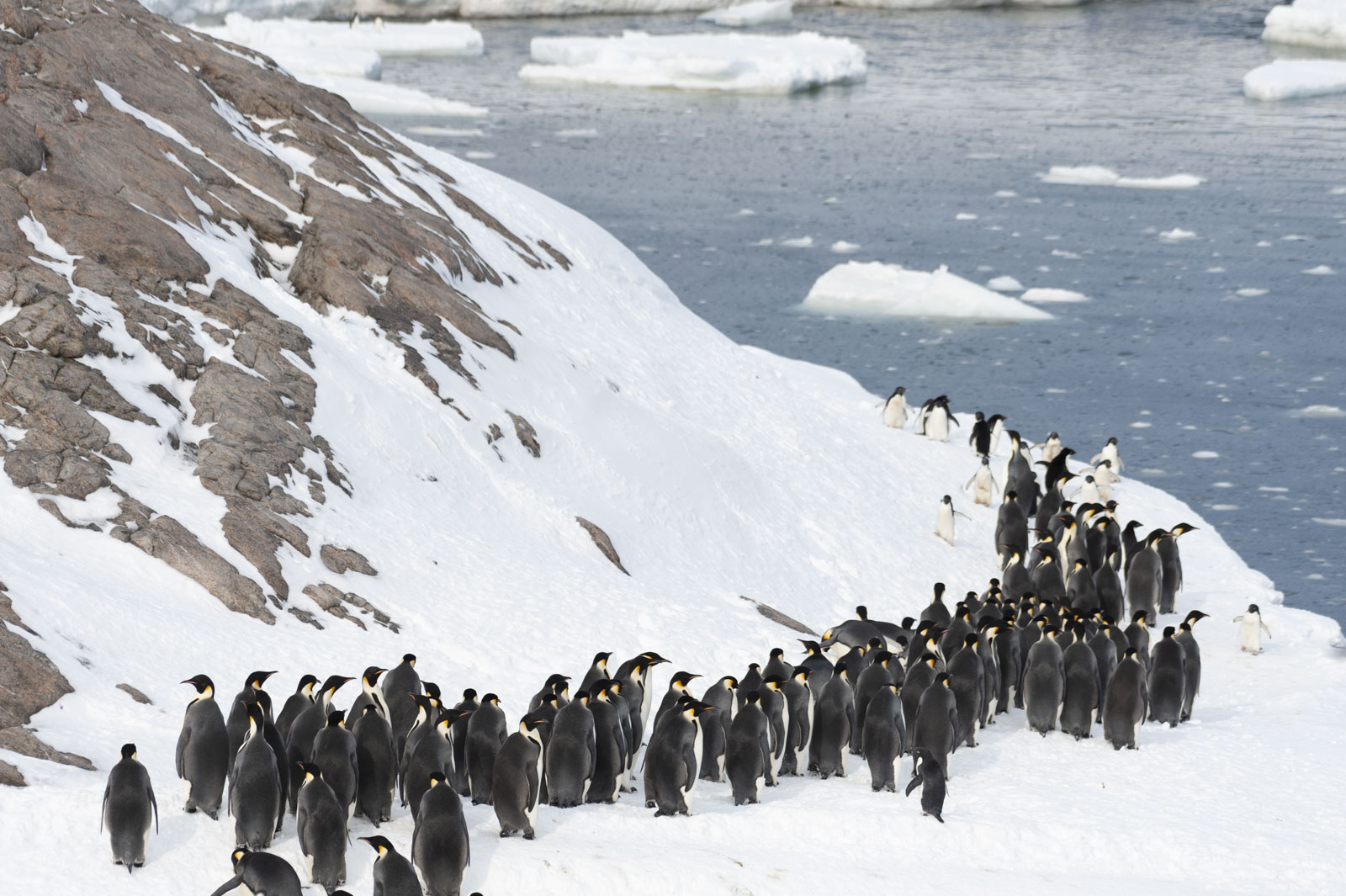 GYT 20221121 010538  DSC8190