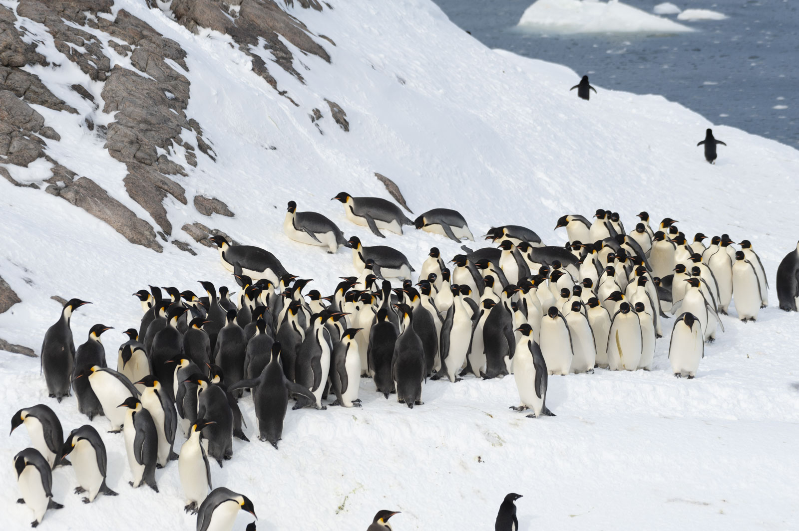 GYT 20221121 010655  DSC8193