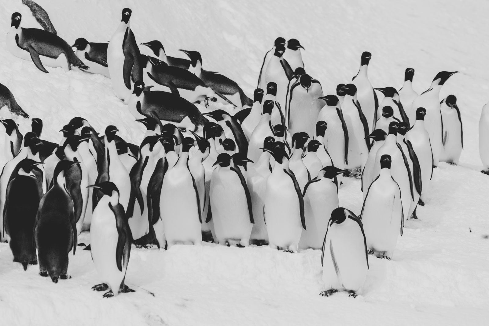 GYT 20221121 010702  DSC8194 2