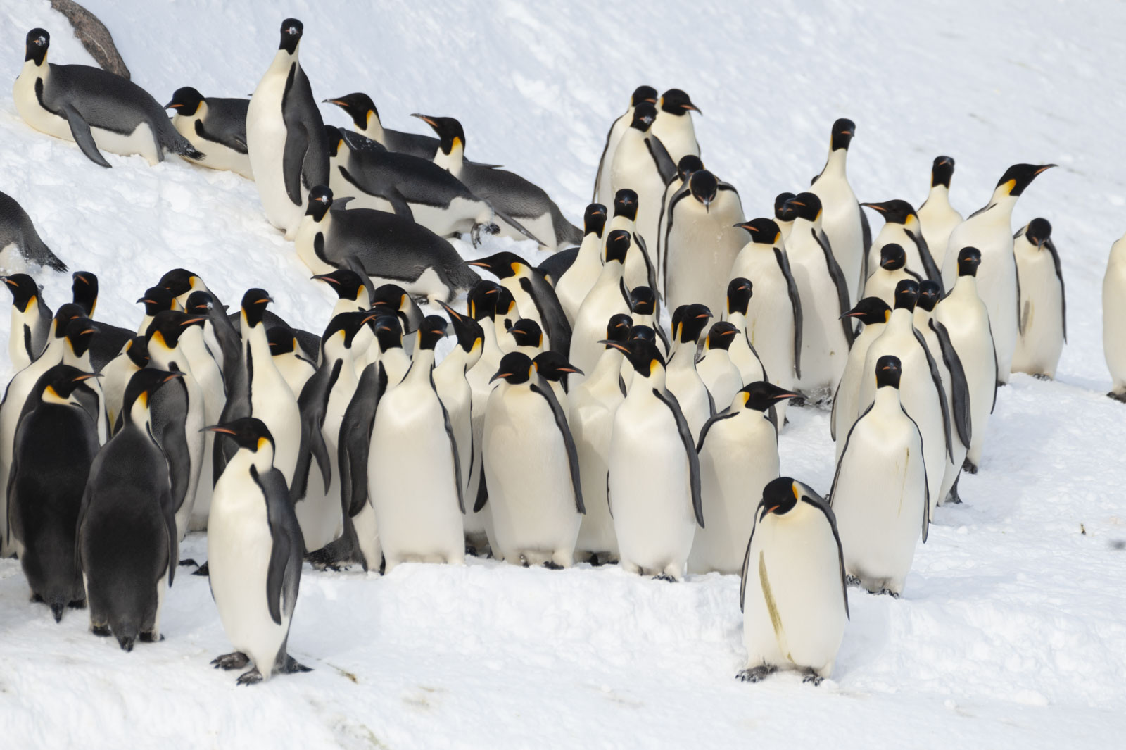 GYT 20221121 010702  DSC8194