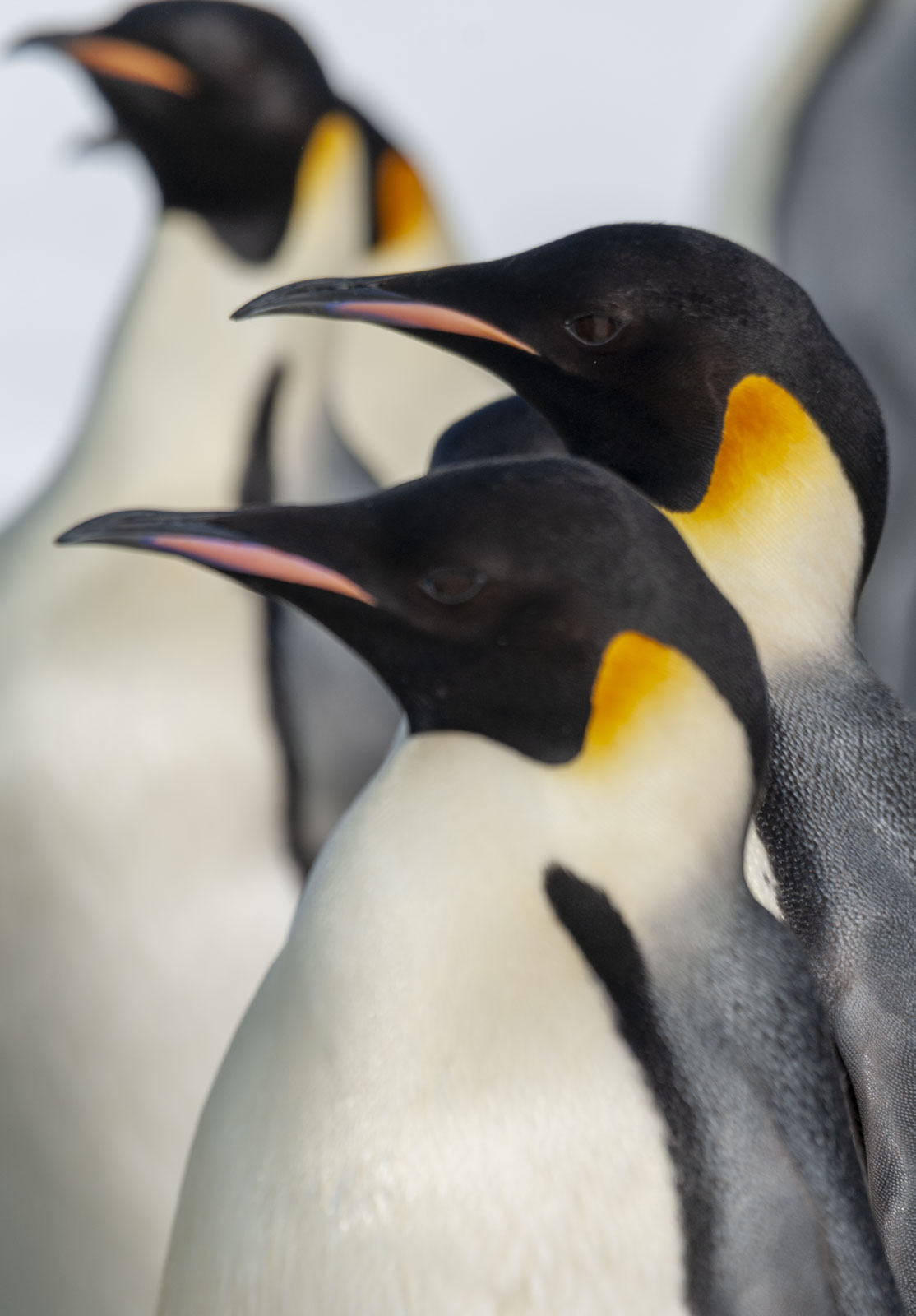 GYT 20221121 014012  DSC8198 2