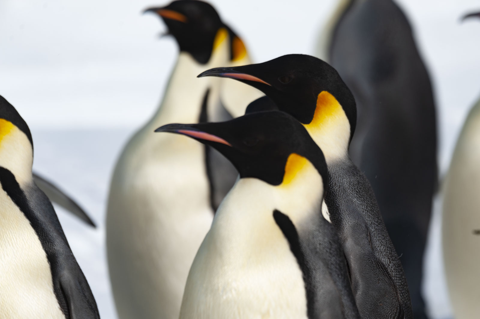 GYT 20221121 014012  DSC8198