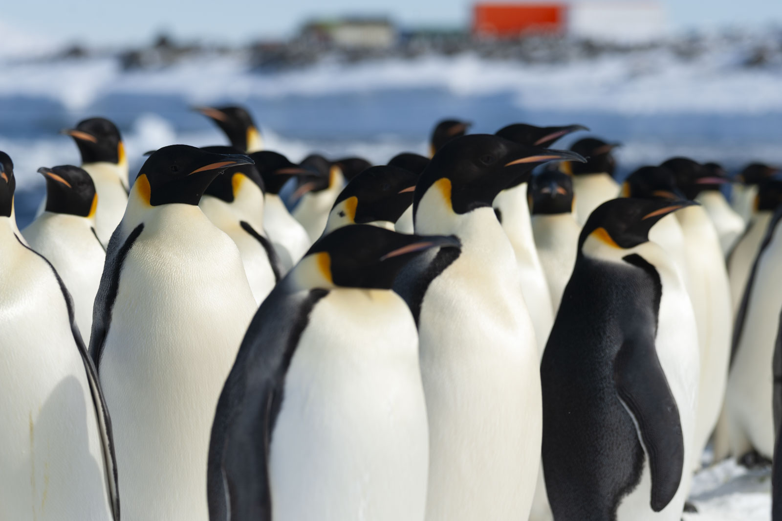 GYT 20221121 014031  DSC8199