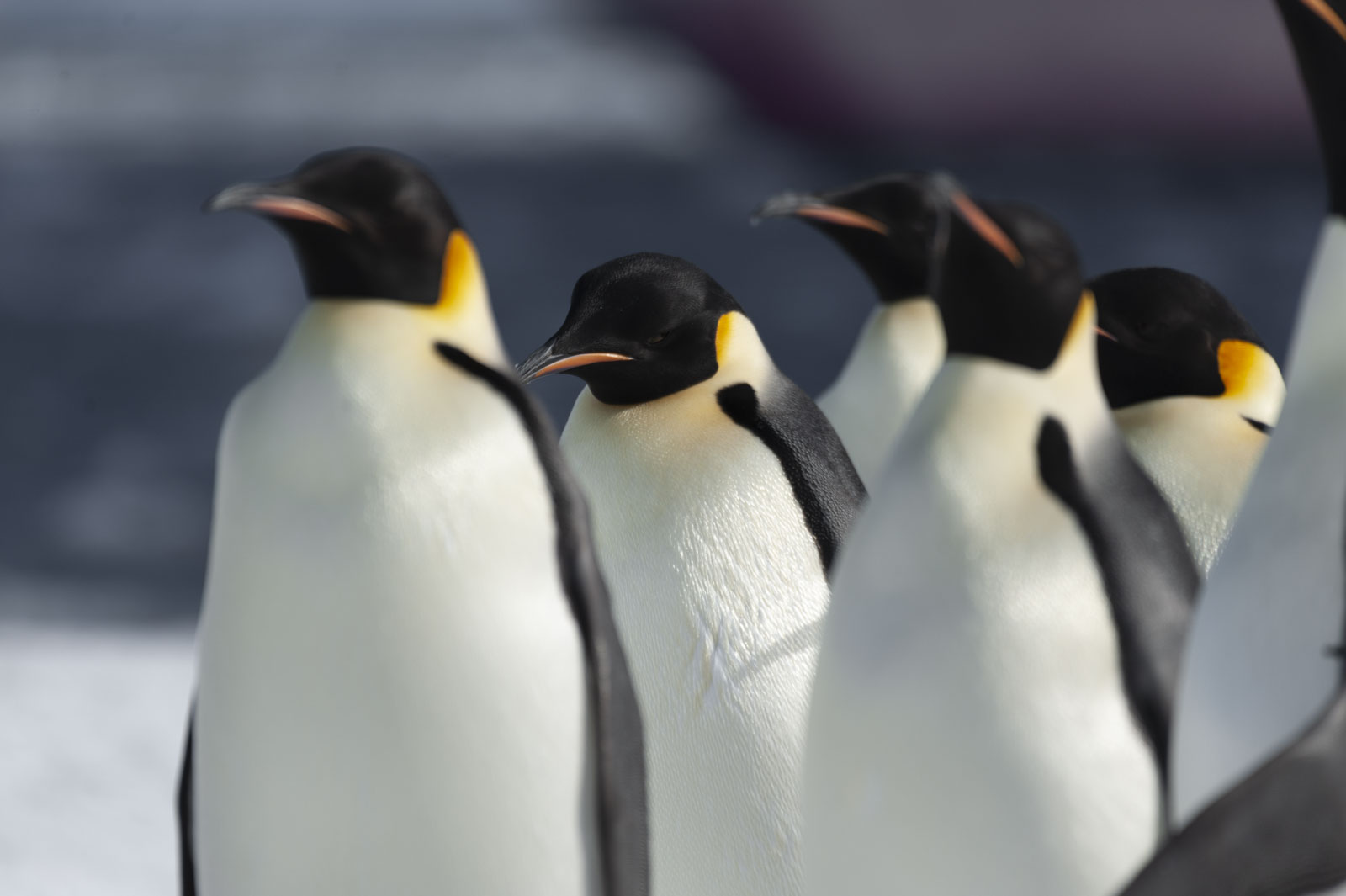 GYT 20221121 014137  DSC8200