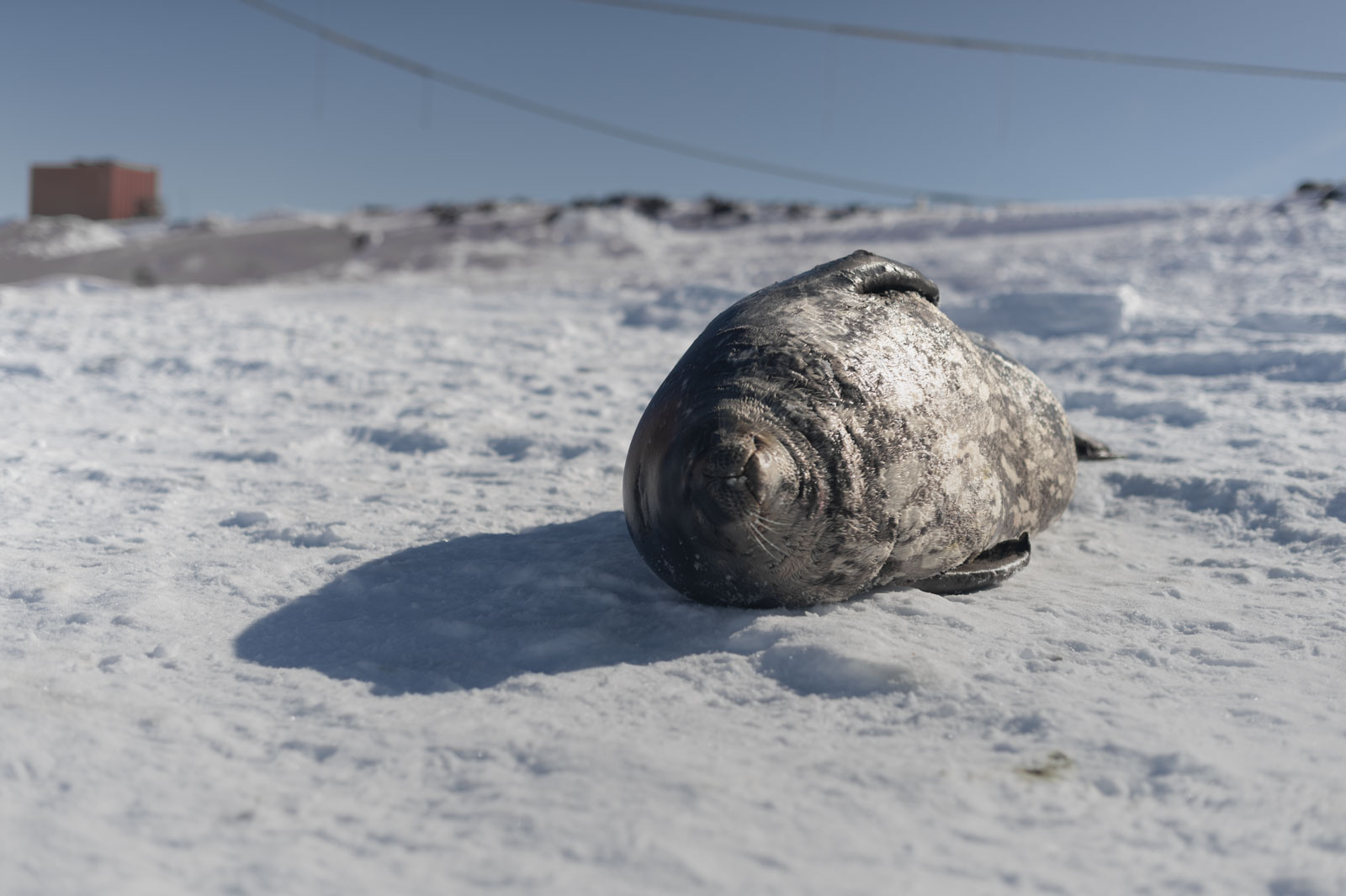 GYT 20221121 020002  DSC8205