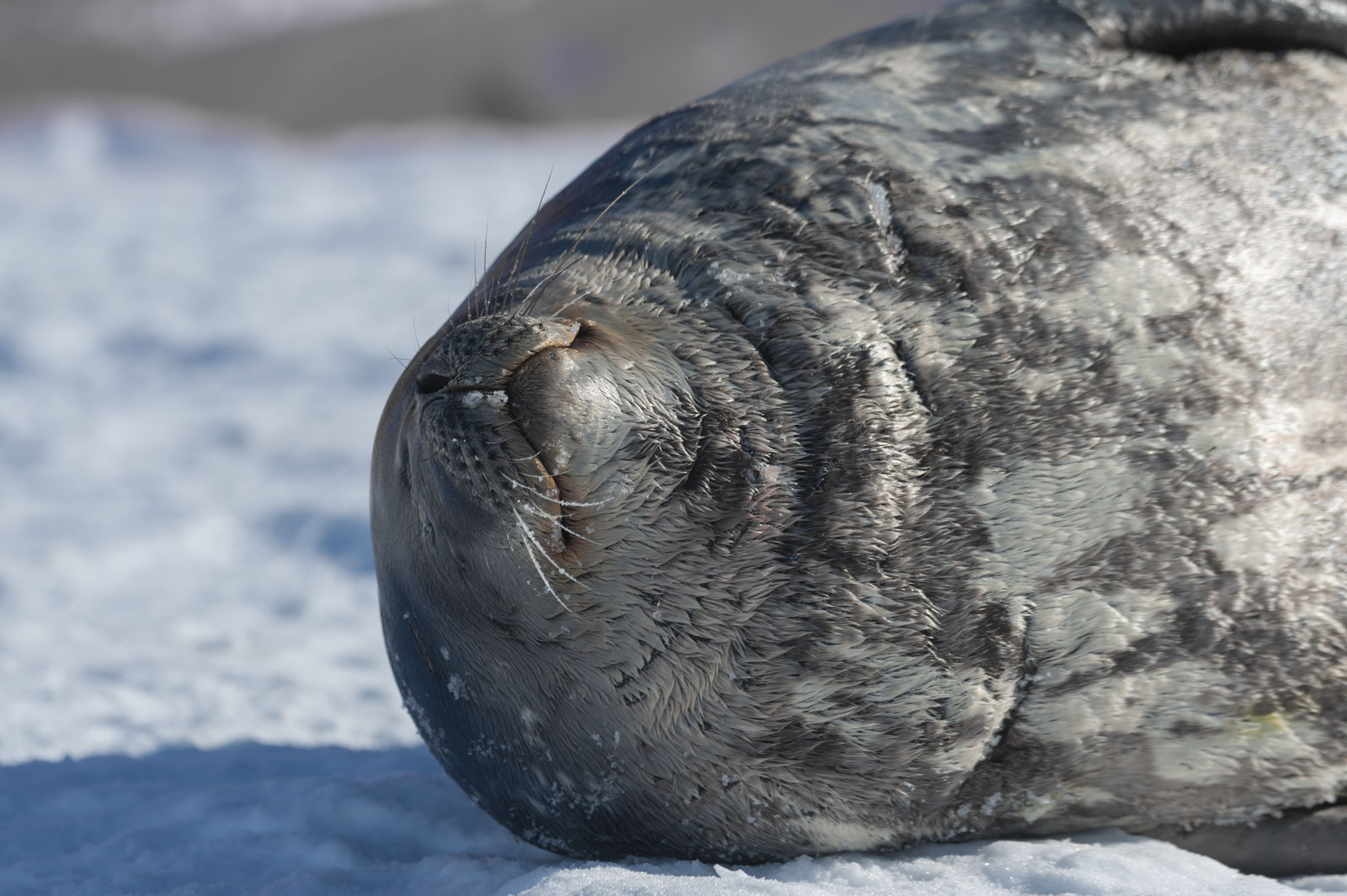 GYT 20221121 020039  DSC8206