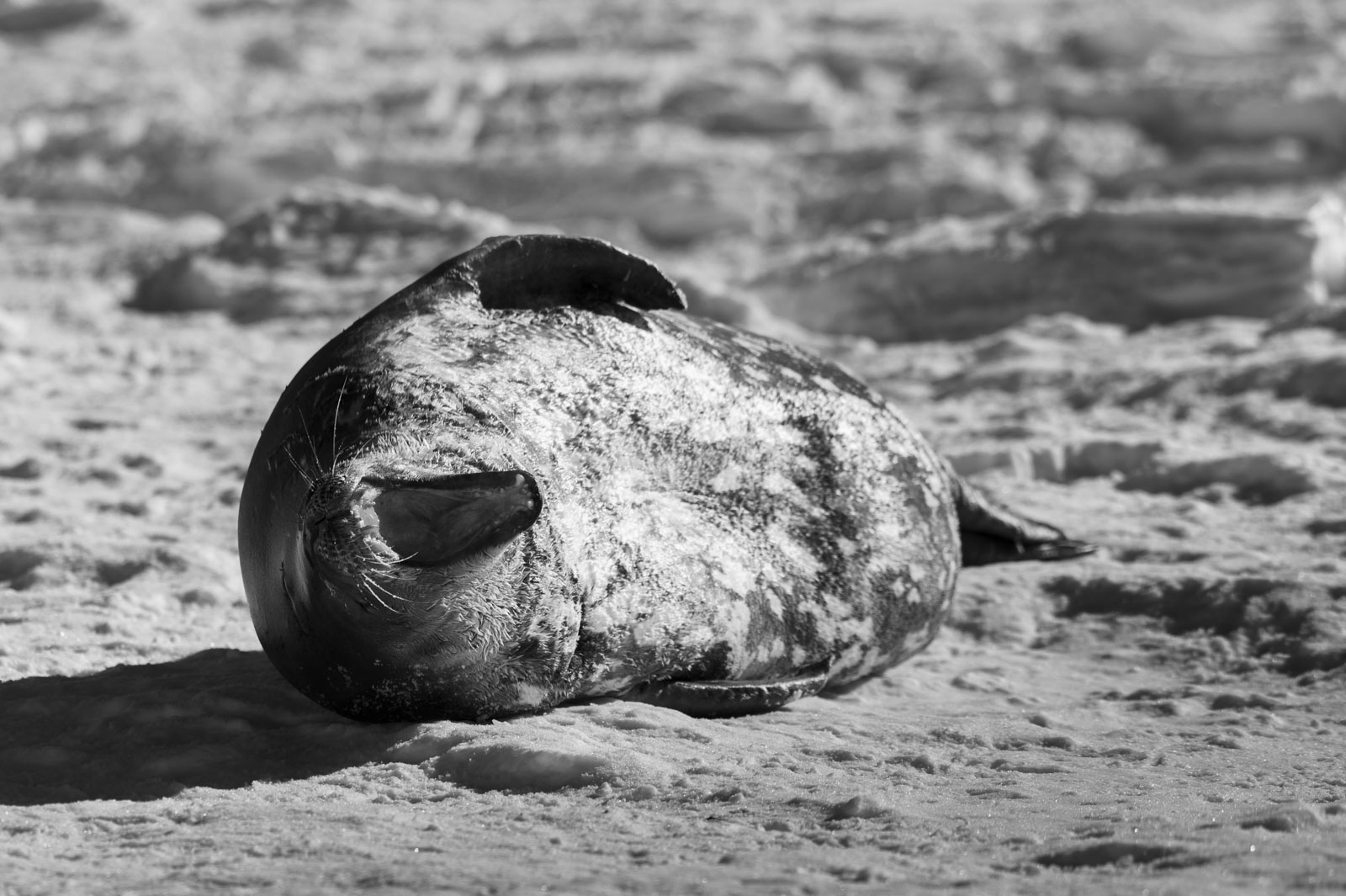 GYT 20221121 020224  DSC8217