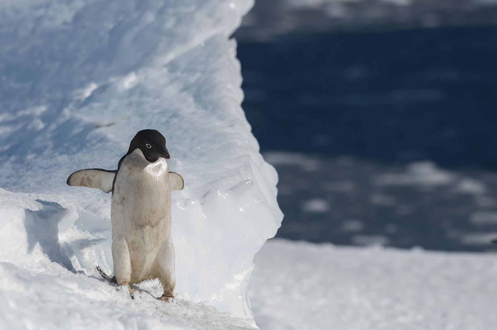 GYT 20221121 020617  DSC8220