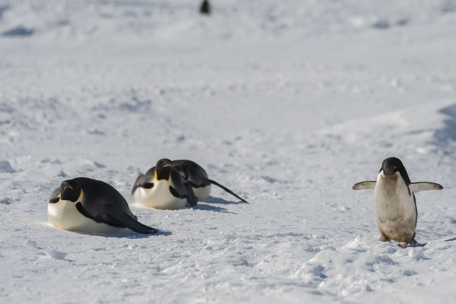 GYT 20221121 021515  DSC8223