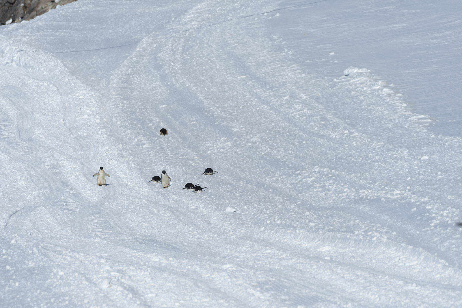 GYT 20221121 022212  DSC8224