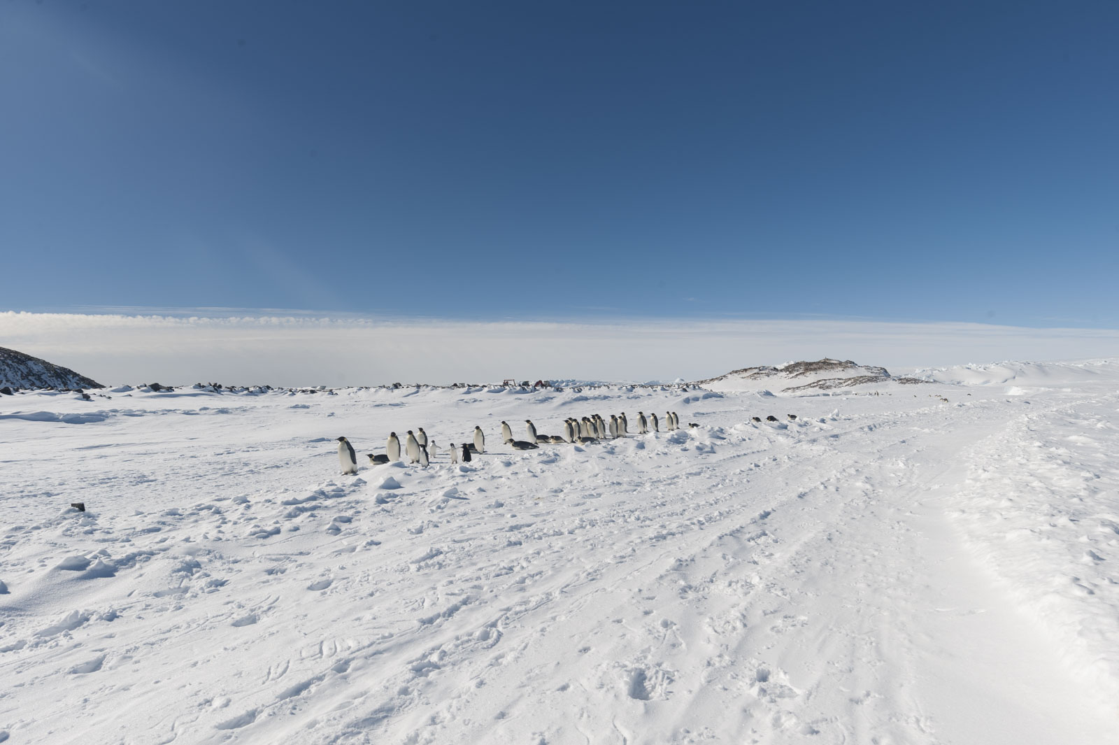 GYT 20221121 023841  DSC8233