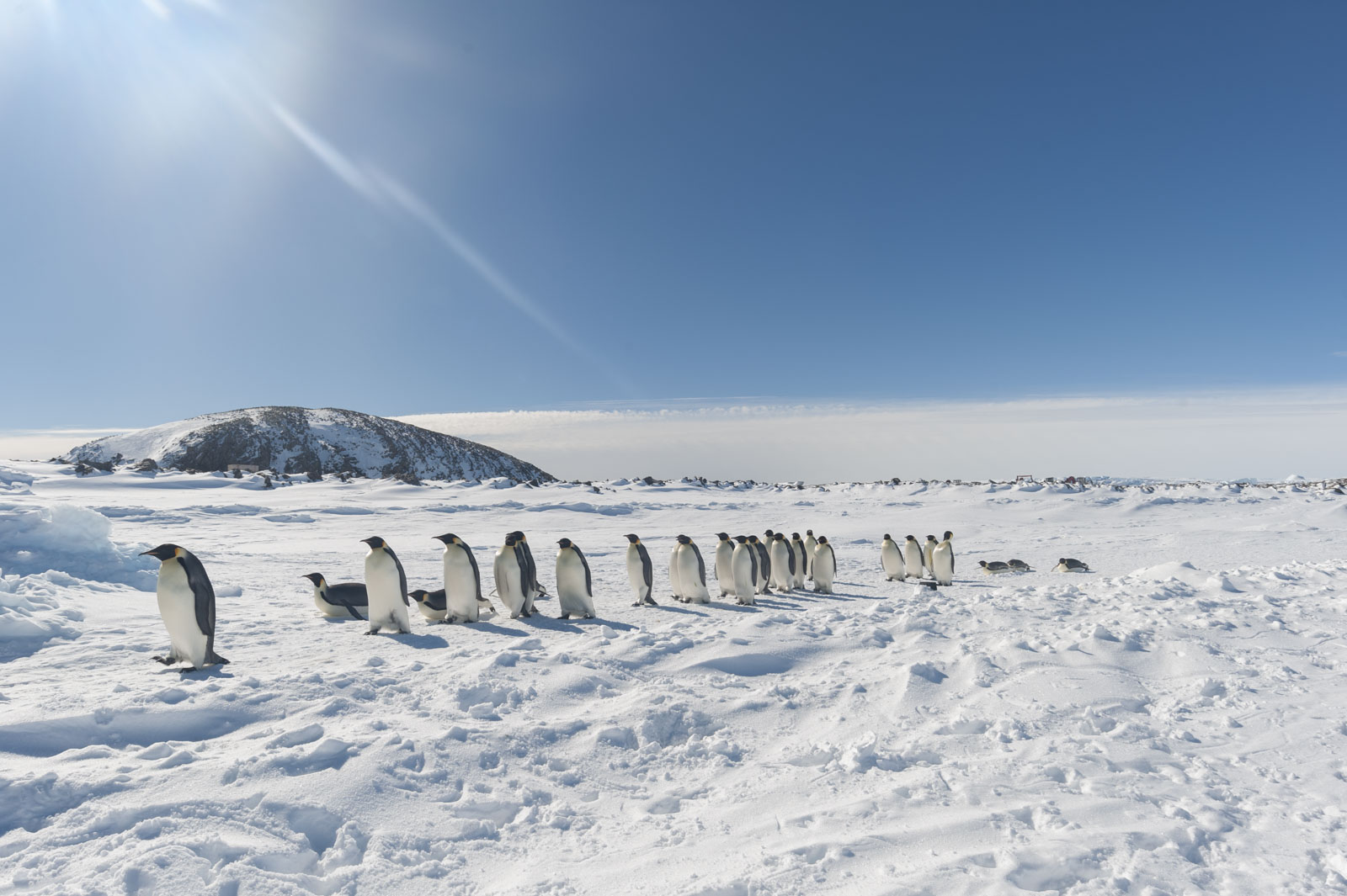 GYT 20221121 023943  DSC8237