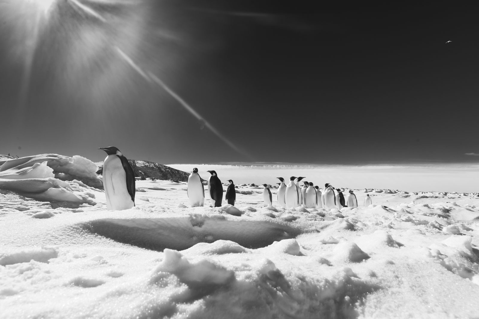 GYT 20221121 023957  DSC8238 2