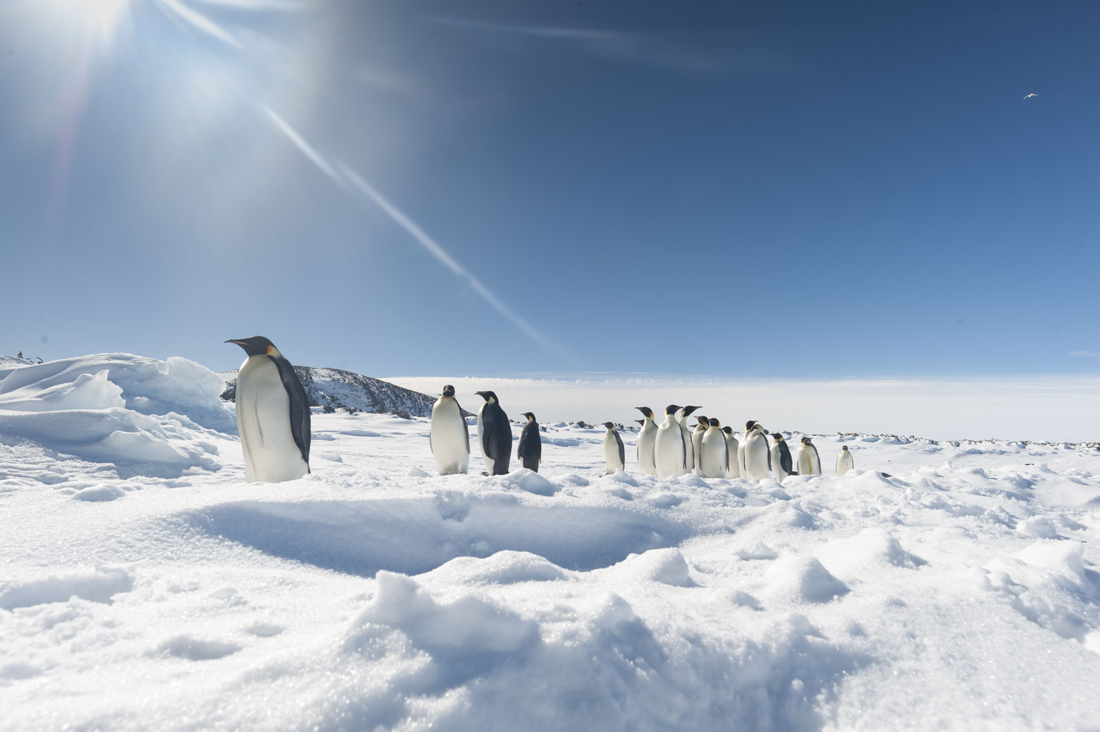 GYT 20221121 023957  DSC8238