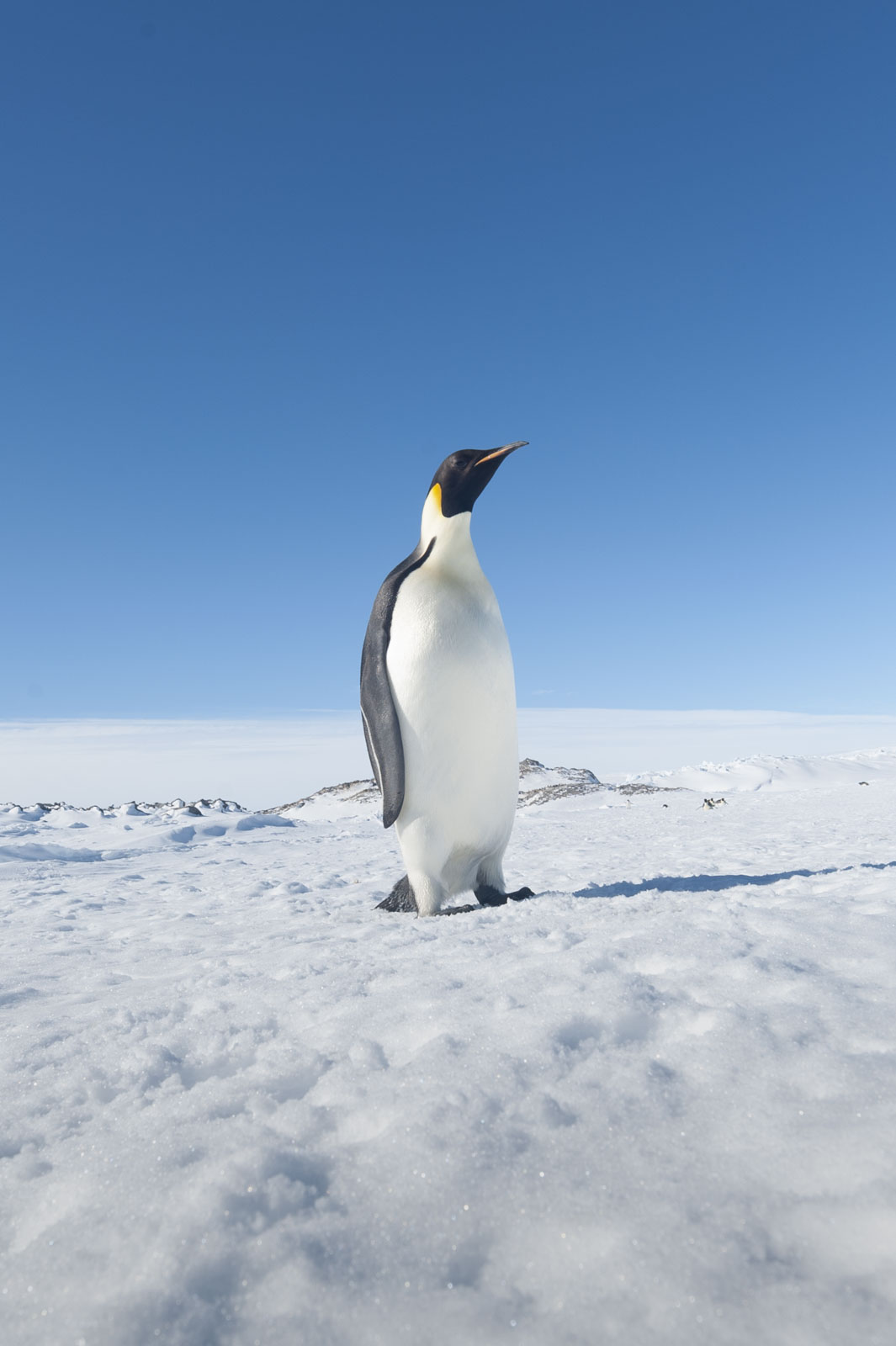 GYT 20221121 024339  DSC8251 2