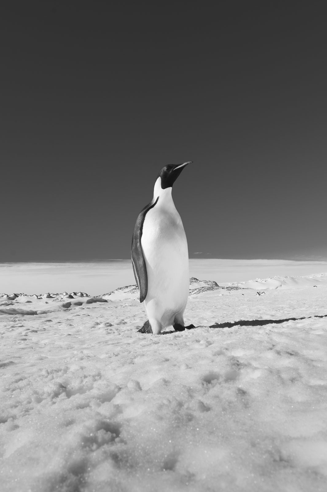 GYT 20221121 024339  DSC8251 3