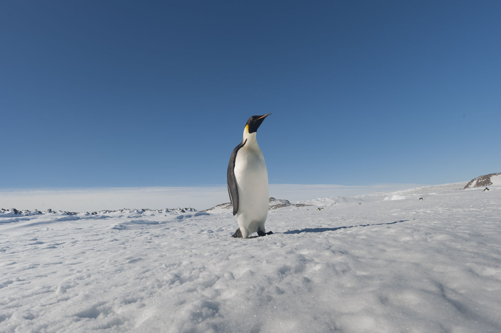 GYT 20221121 024339  DSC8251