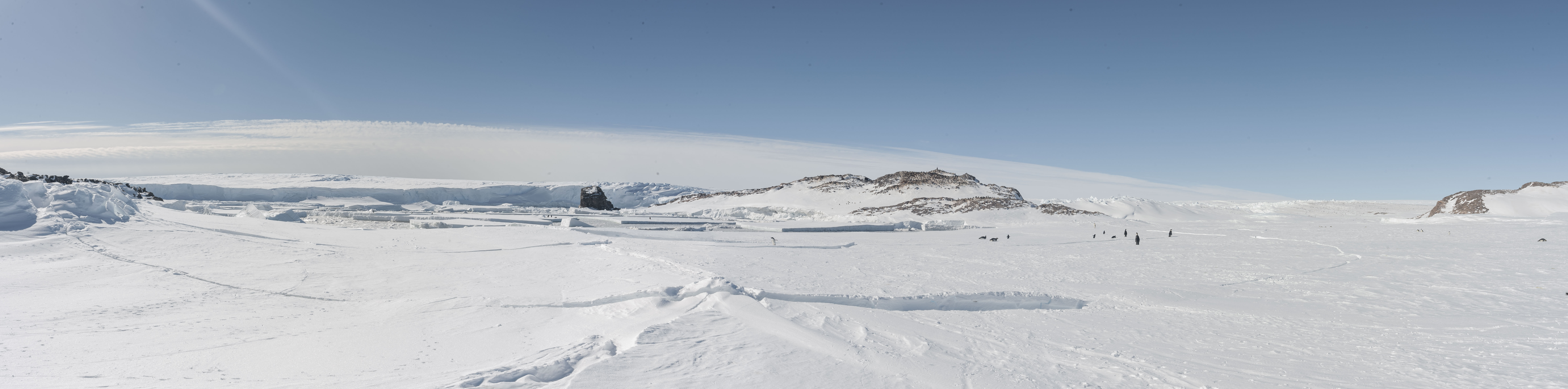 GYT 20221121 024601  DSC8258 Panorama