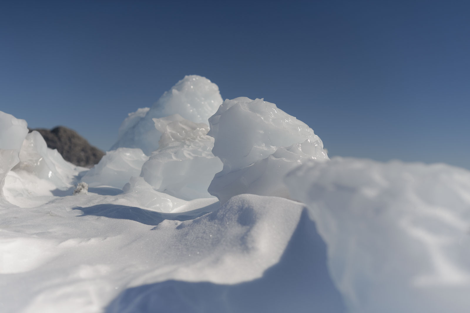 GYT 20221121 025326  DSC8265