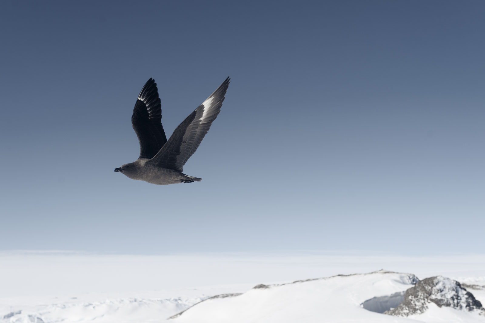 GYT 20221121 031154  DSC8287