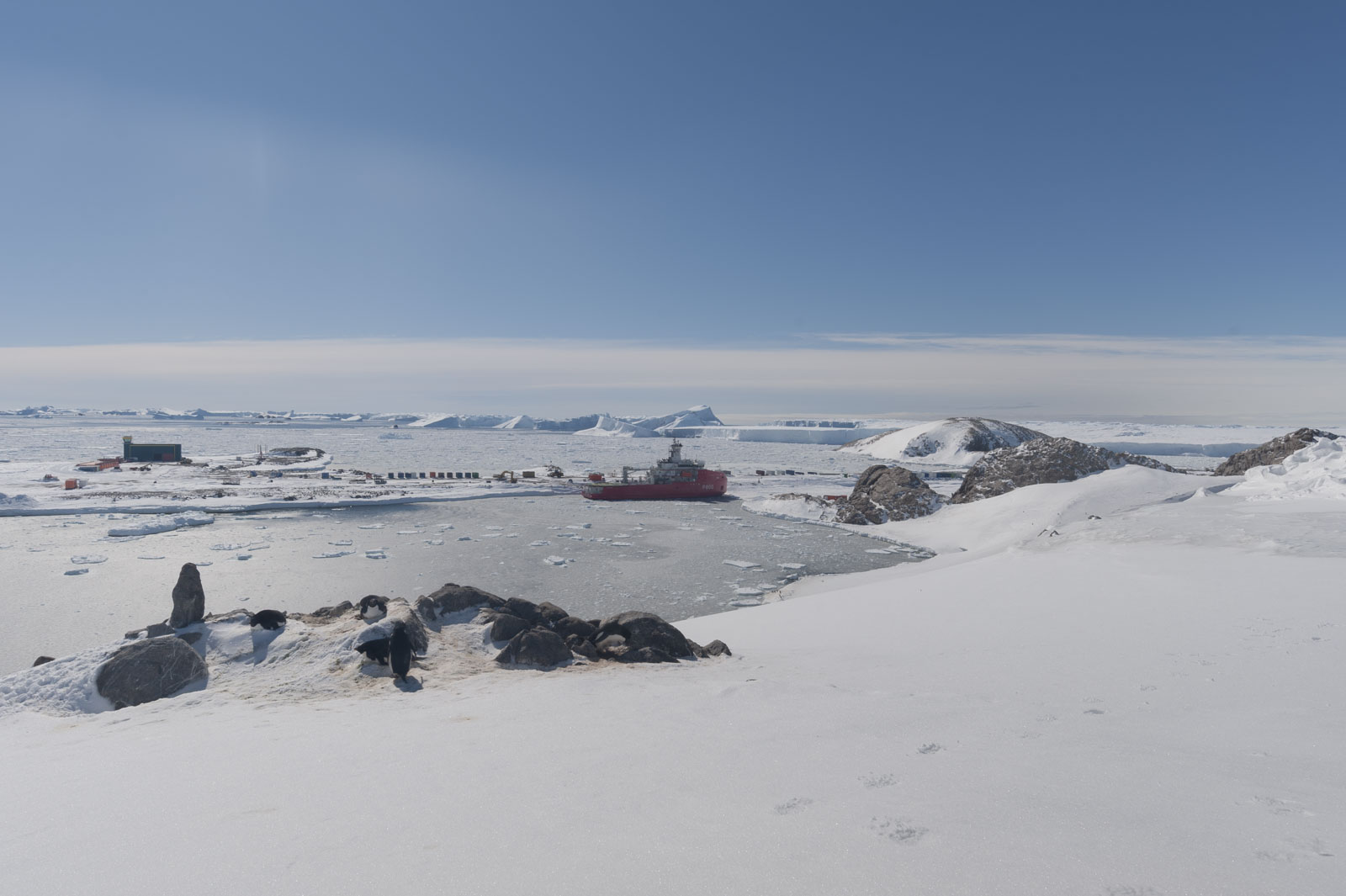 GYT 20221121 032812  DSC8313