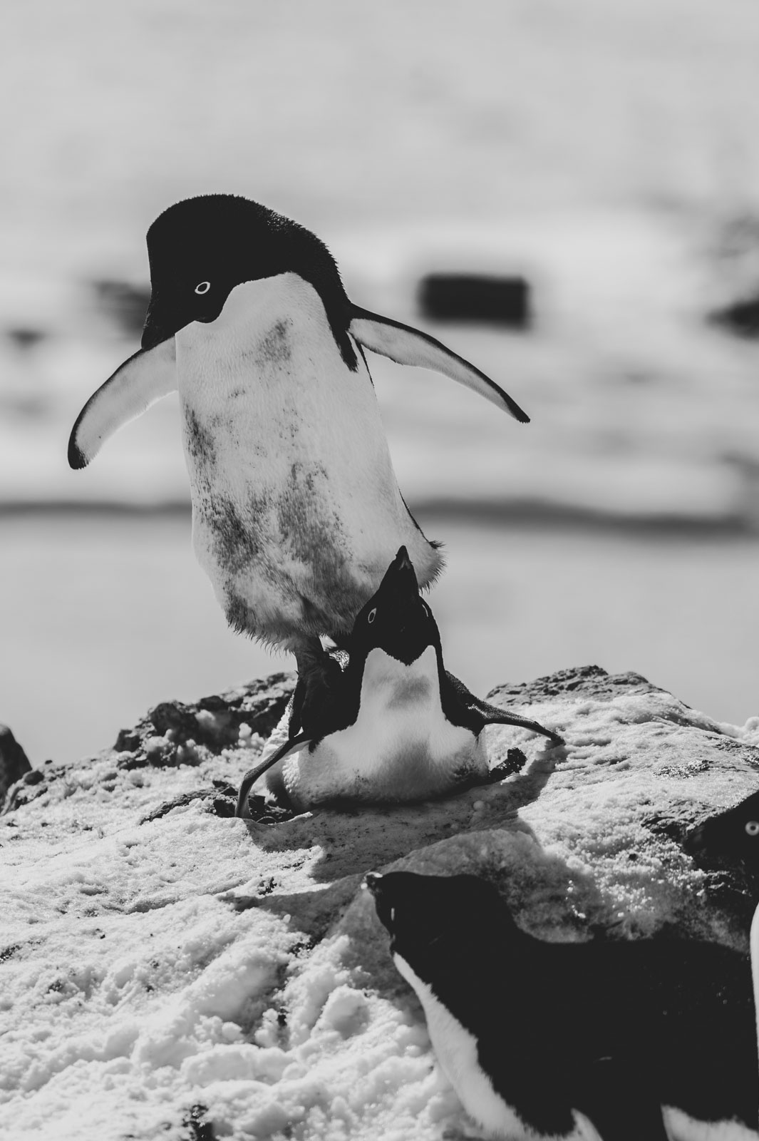 GYT 20221121 032958  DSC8318