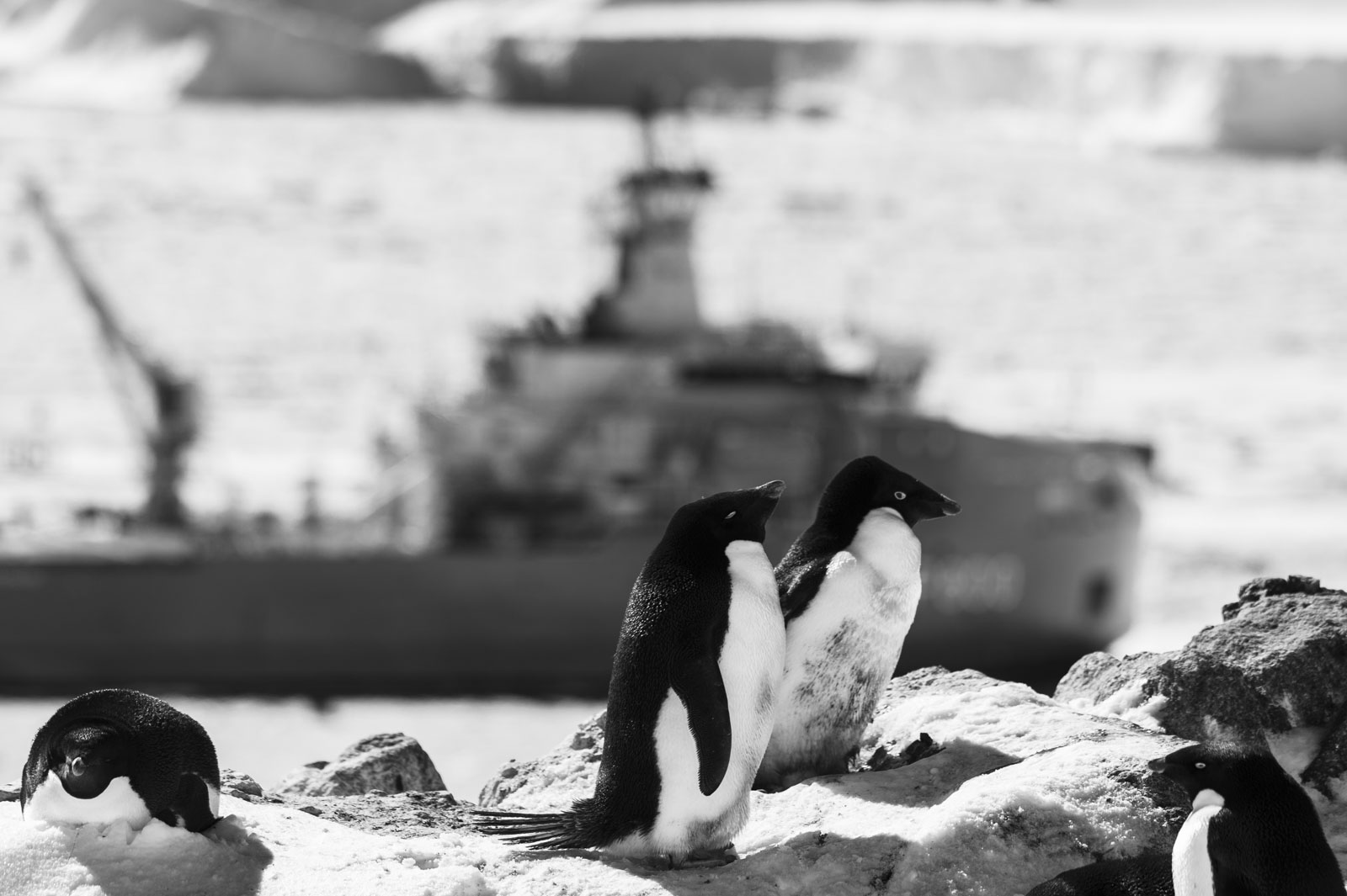 GYT 20221121 033114  DSC8321