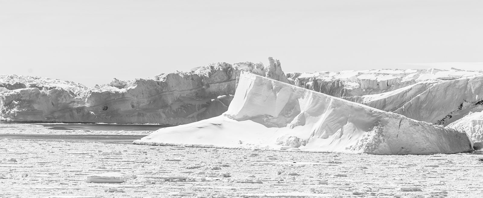 GYT 20221121 033322  DSC8322