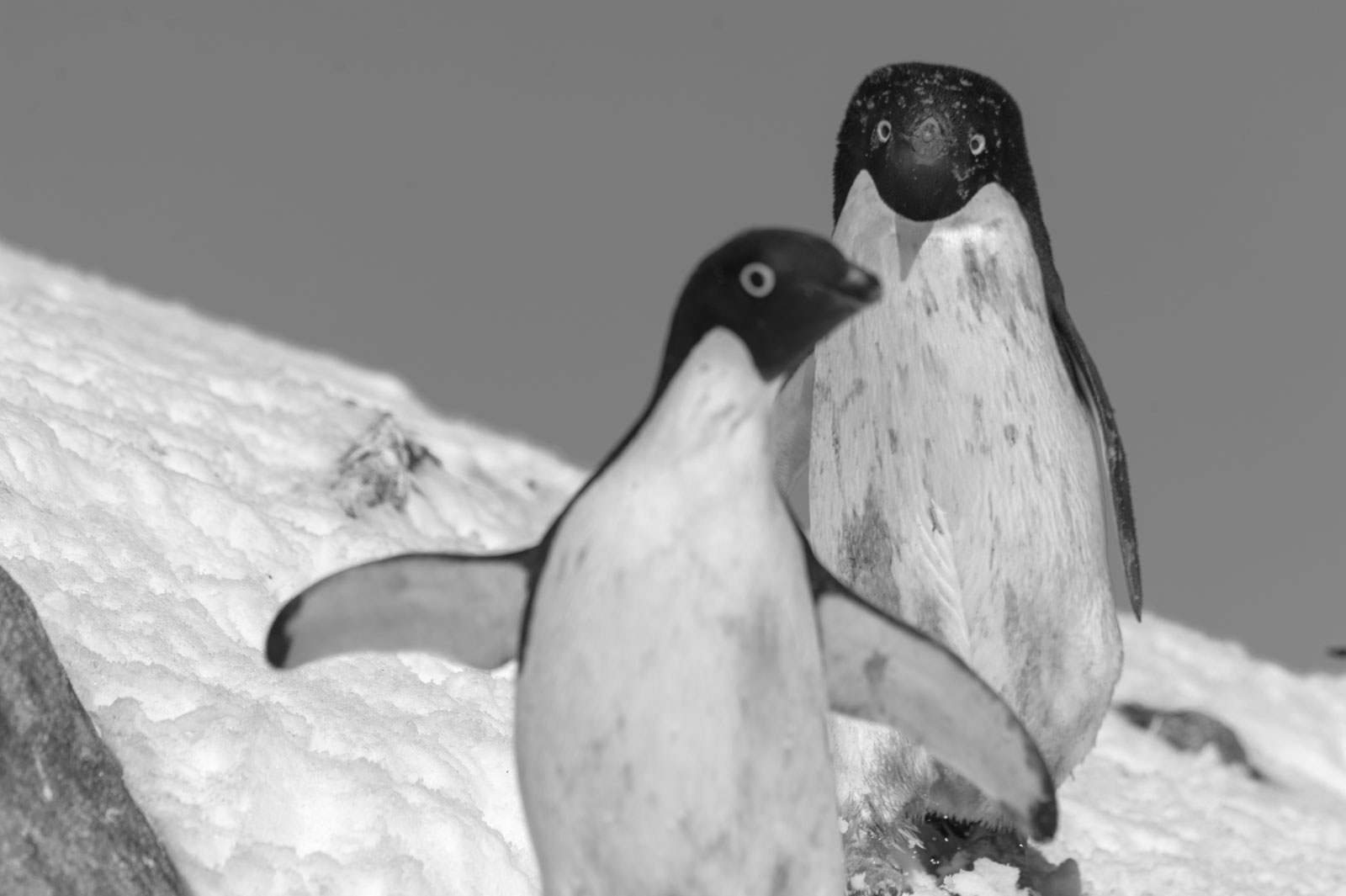 GYT 20221121 034028  DSC8327