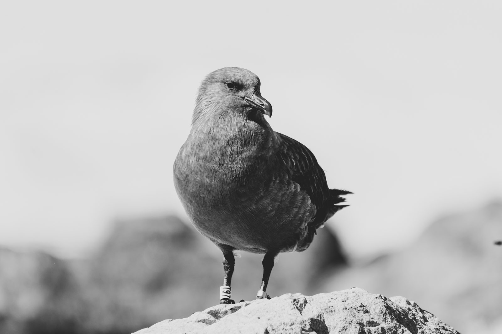 GYT 20221121 034135  DSC8329