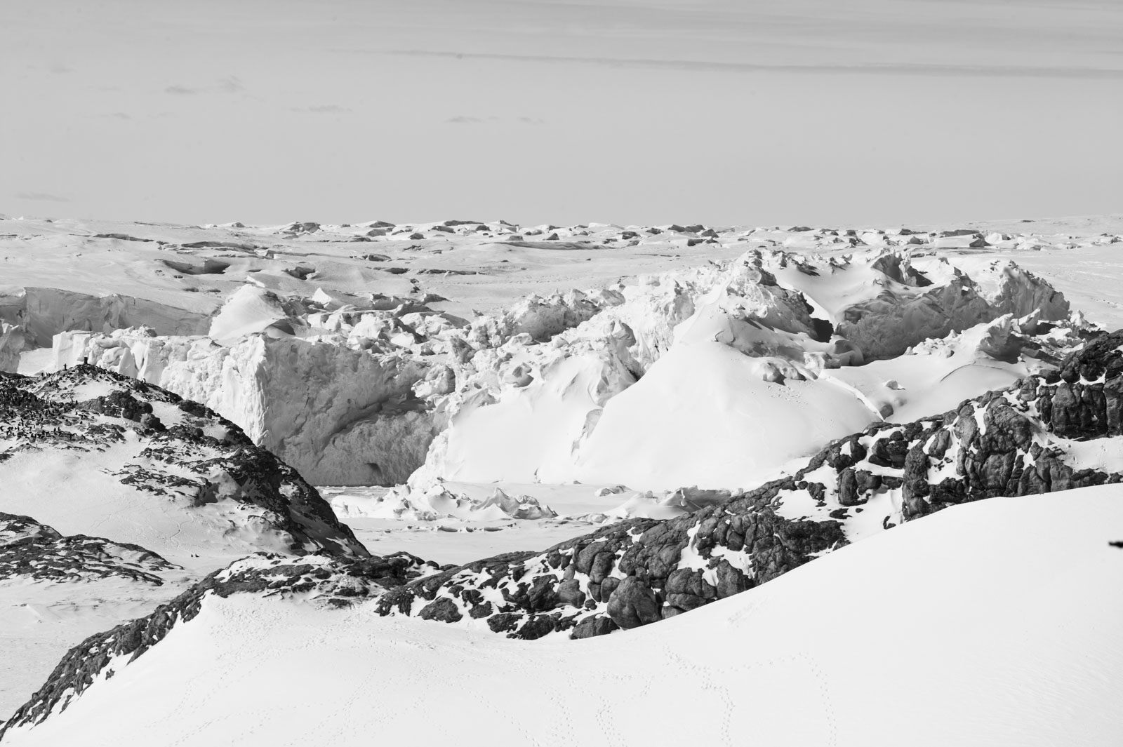 GYT 20221121 034319  DSC8331