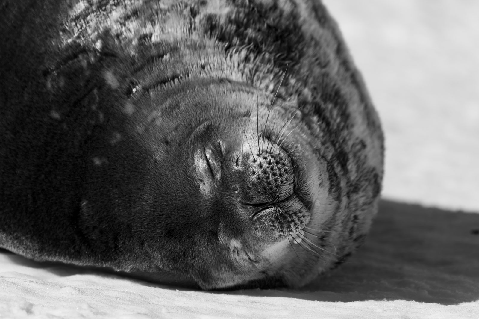 GYT 20221121 035424  DSC8337