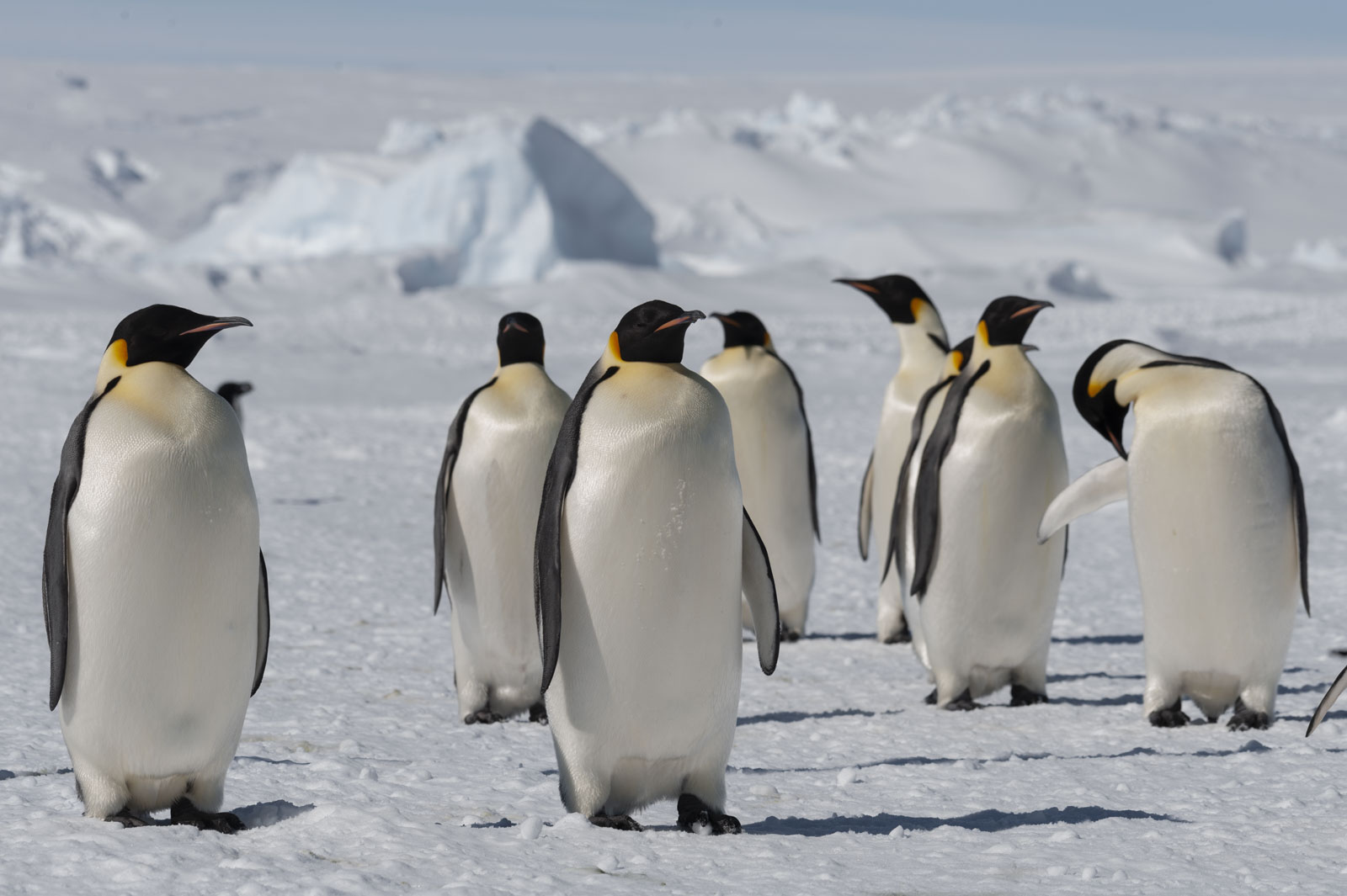 GYT 20221121 035705  DSC8341