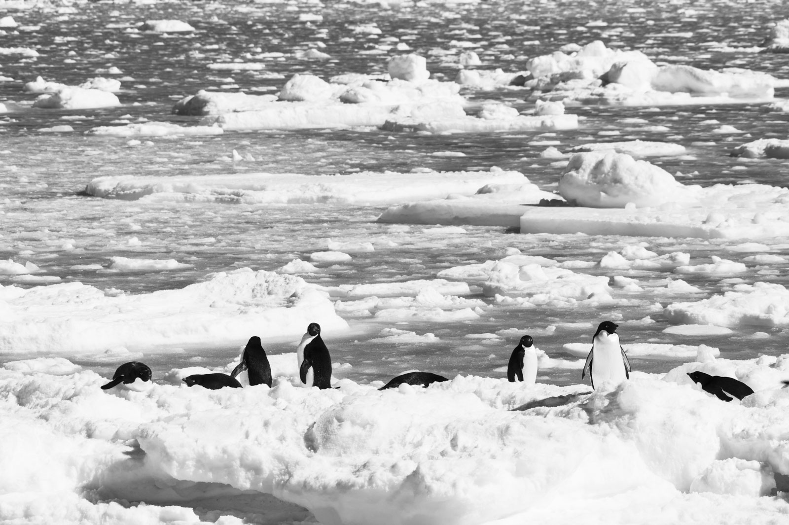 GYT 20221121 040116  DSC8345